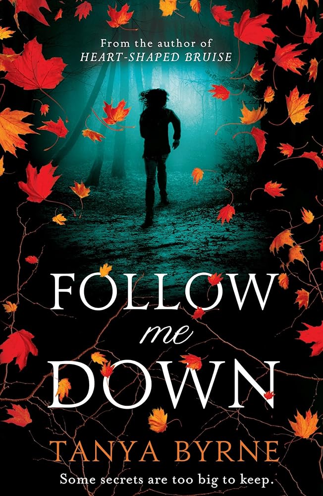 Follow Me Down cover image