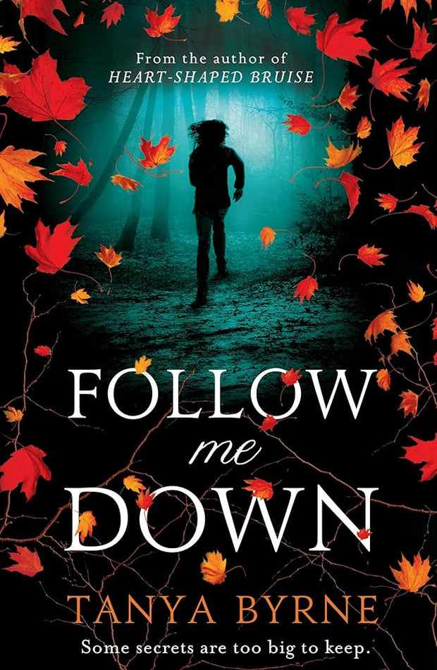 Follow Me Down cover image