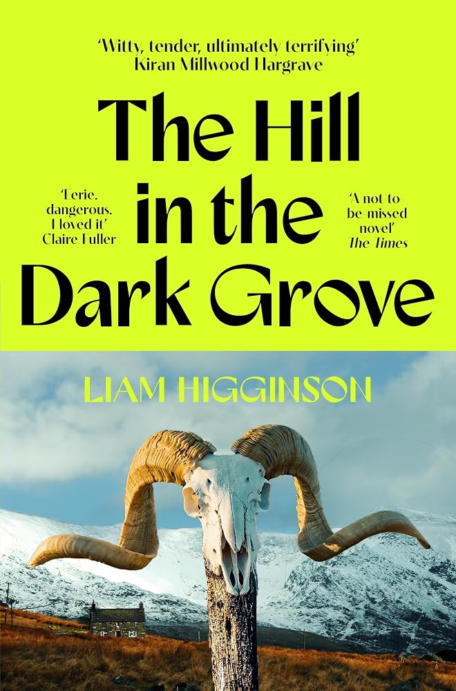 The Hill in the Dark Grove cover image