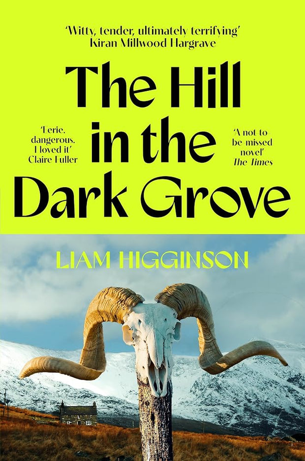 The Hill in the Dark Grove cover image