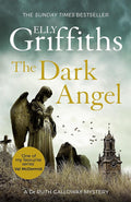 Dark Angel cover image