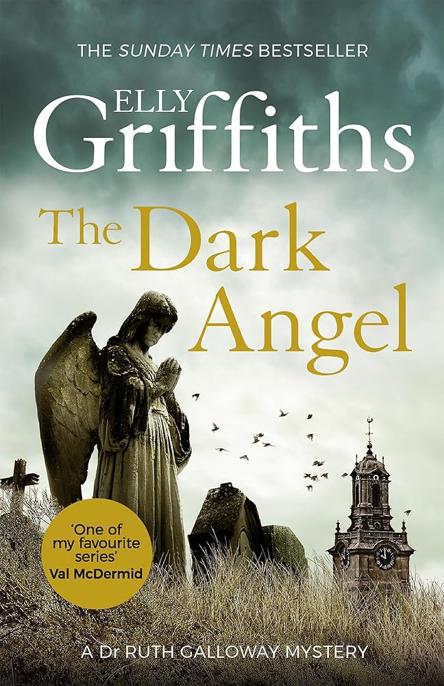 Dark Angel cover image