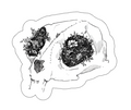 Cat's Skull with Flowers Vinyl Sticker
