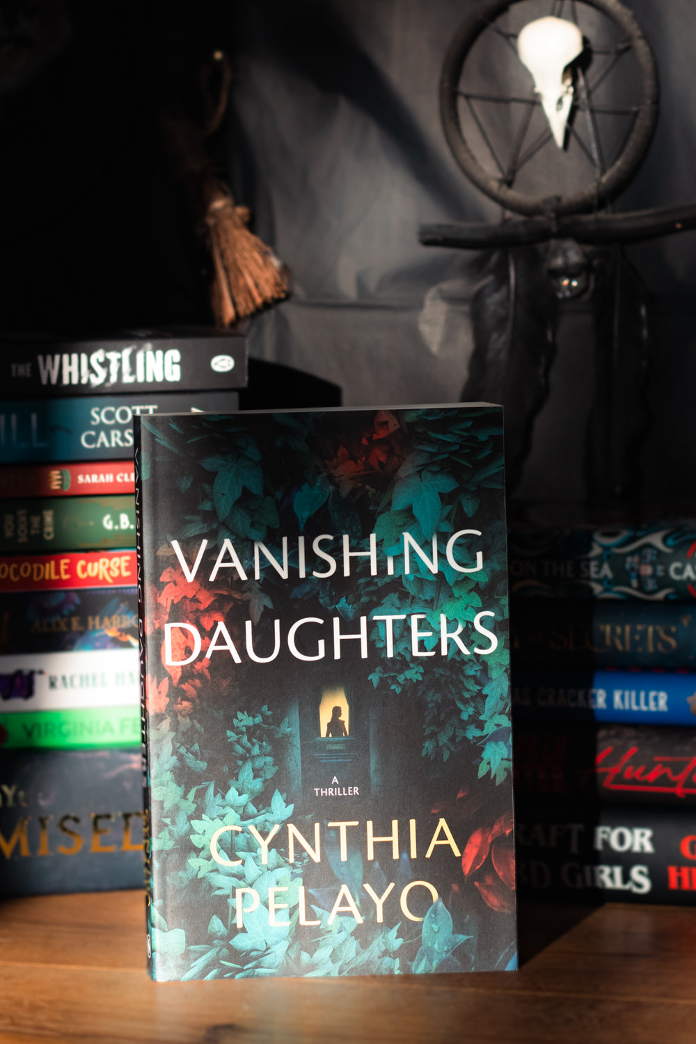 Vanishing Daughters: A Thriller