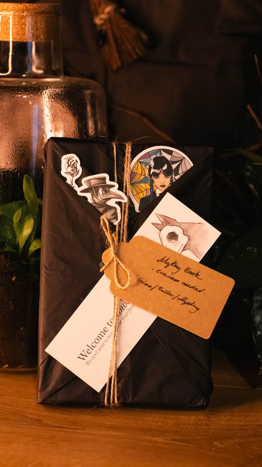 Mystery Book Pack: Adventure