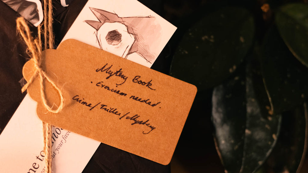 Mystery Book Pack: Adventure