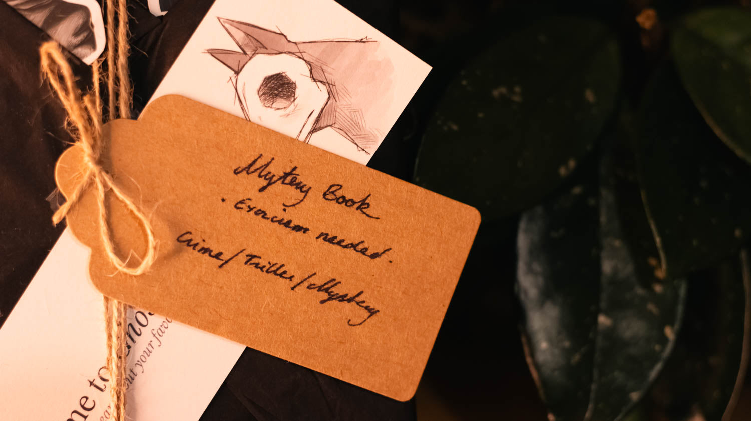 Mystery Book Pack: Thriller/Crime