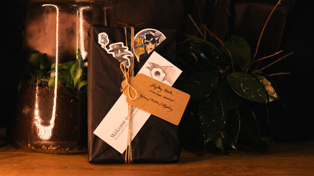 Mystery Book Pack: Adventure