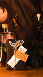 Mystery Book Pack: Adventure