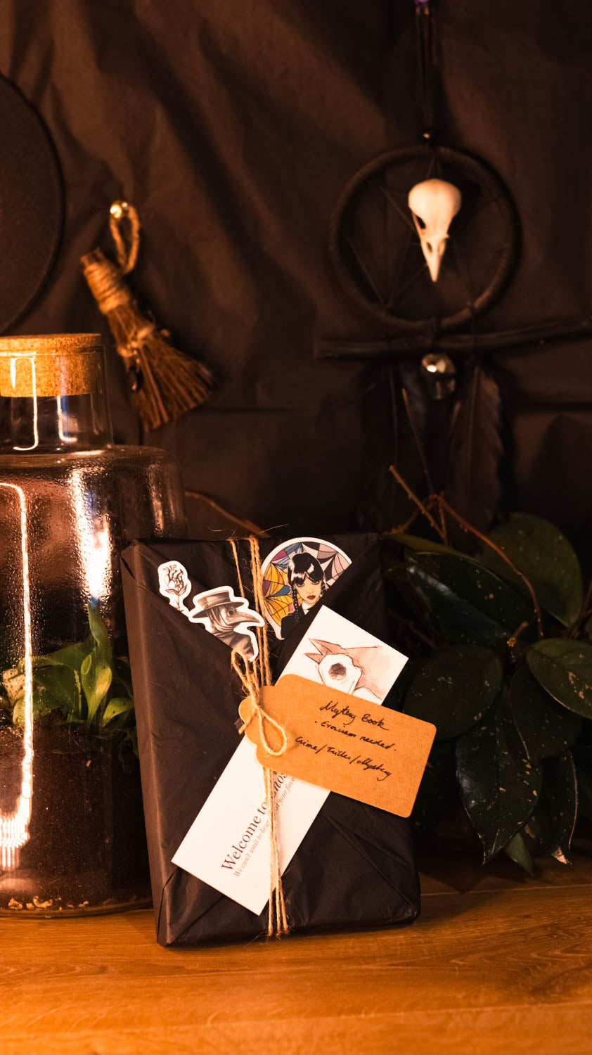 Mystery Book Pack: Adventure