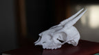 DikDik Skull Replica | 3D Printed