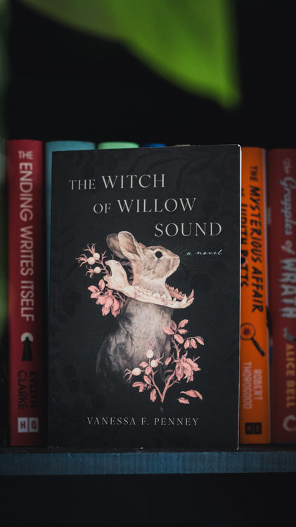 The Witch of Willow Sound: A Novel