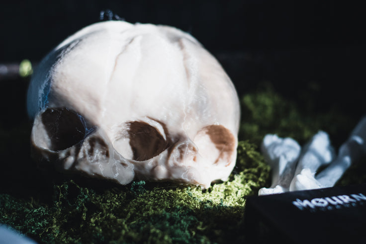 Conjoined Twin Infant Skull Replica | 3D Printed