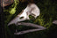 Raven Skull Replica | 3D Print