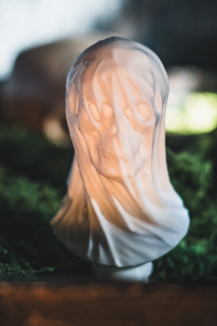 Veiled Skull Bust | 3D Printed