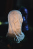 Veiled Skull Bust | 3D Printed