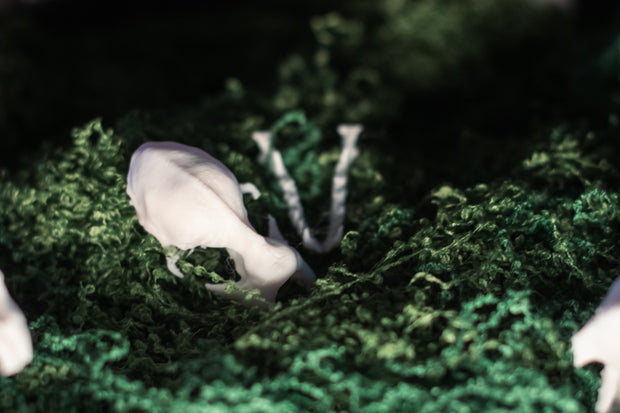 Lesser Horseshoe Bat Skull Replica | 3D Printed