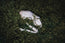 Lesser Horseshoe Bat Skull Replica | 3D Printed