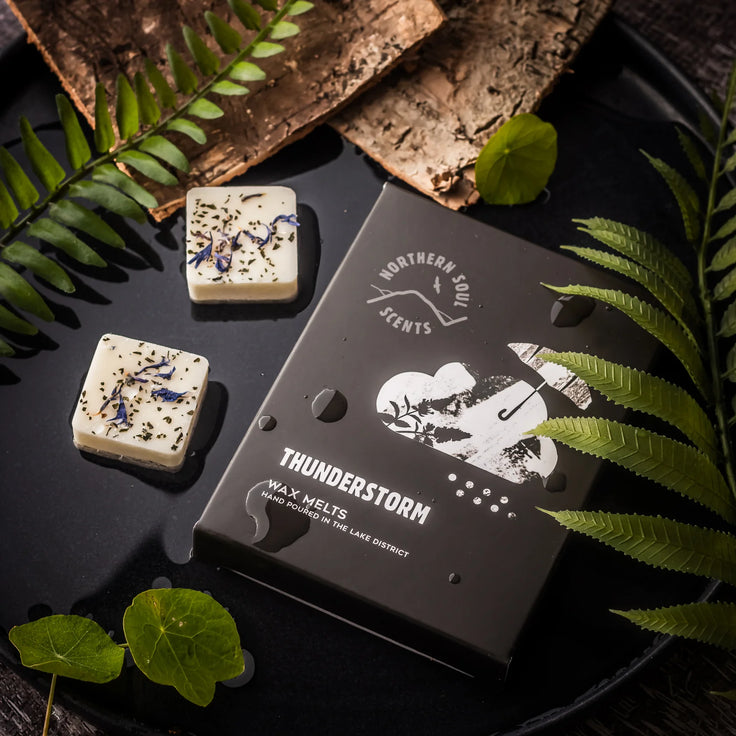 Thunderstorm Wax Melts