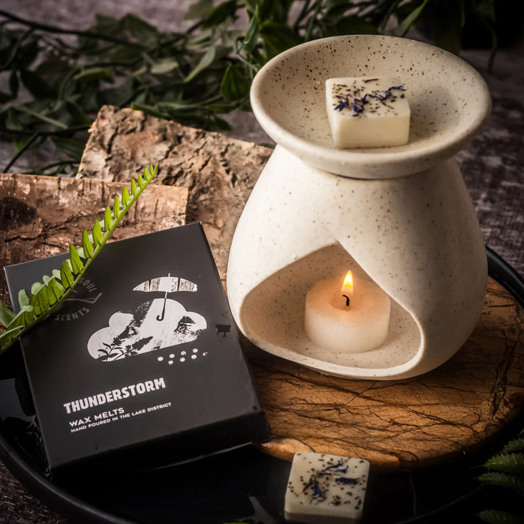 Thunderstorm Wax Melts