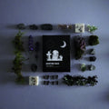 Graveyard Walks Wax Melts