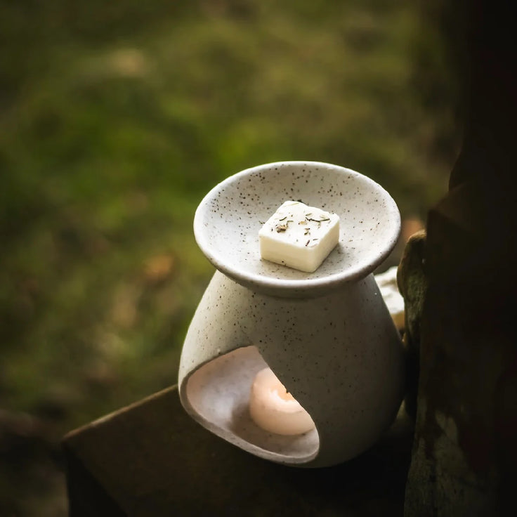 Graveyard Walks Wax Melts